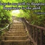 As the Buddha said so many years ago There is no path to happiness Happiness is the path on the way to nirvana