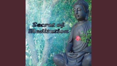 Discover all the meditation secrets by joining a meditating group. So as to benefit from the meditating group aura; a demonstration electrical basis meditation.