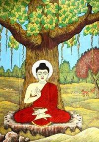 Insight meditation free guide enlightenment reveals what Buddha taught. That expert guide meditation practice leads to a complete transformation with nirvana