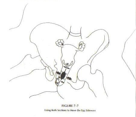 Strong conscious vagina is a form of empowerment. As it enables a woman to conserve energy and build energy within her own being.